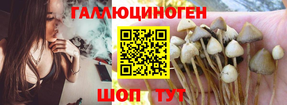 Похвистнево  Псилоцибиновые грибы ЛСД  Псилоцибиновые грибы MAGIC MUSHROOMS  Вход с VPN 