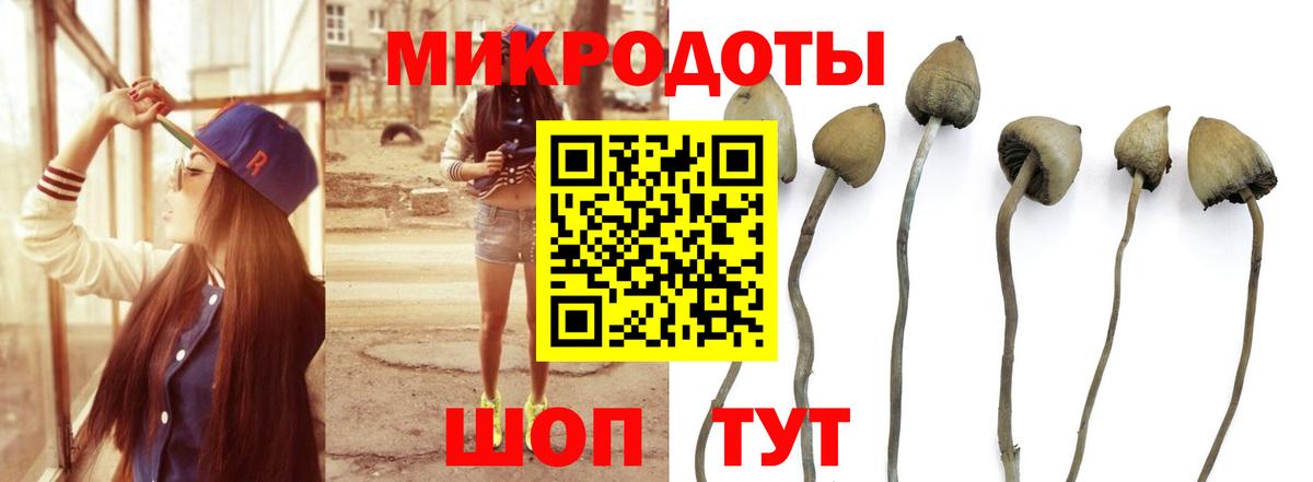 Псилоцибиновые грибы Magic Shrooms Похвистнево